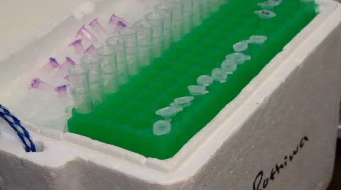 Part of DNA extraction procedure Stock Footage 42557281