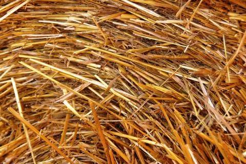 Part of dry yellow stack of hay for background. Stock Photos