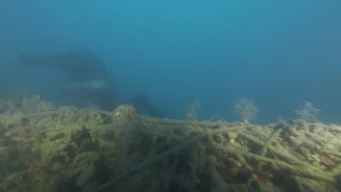 Part encrusted and wrapped by net of the wreck Adernò with many rainbow wrasse  Stock Footage 227506654
