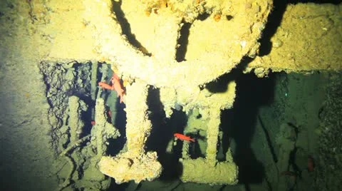 Part of the engine at the ship wreck Stock Footage 22638415