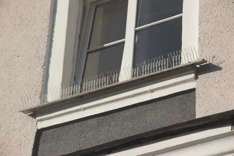 Part of the facade of the building with plastic spikes against pigeons. the Stock Photos