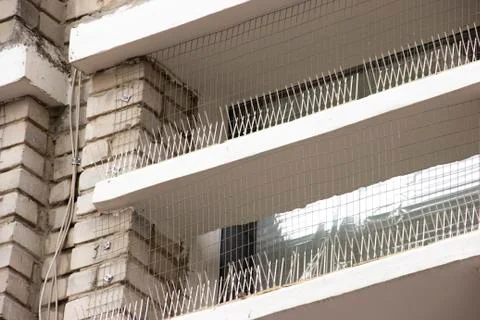 Part of the facade of the building with plastic spikes against pigeons. the Stock Photos