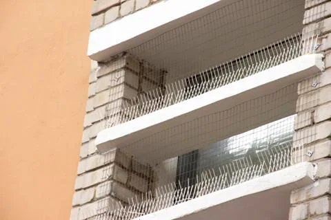Part of the facade of the building with plastic spikes against pigeons. the Stock Photos