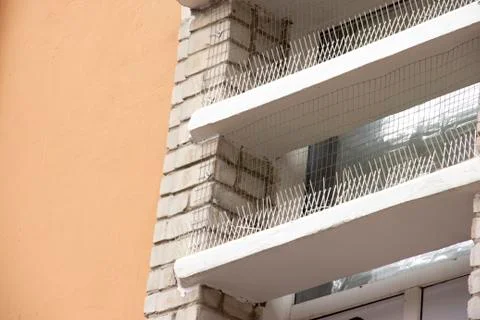 Part of the facade of the building with plastic spikes against pigeons. the Stock Photos