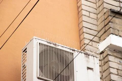 Part of the facade of the building with plastic spikes against pigeons. the Stock Photos