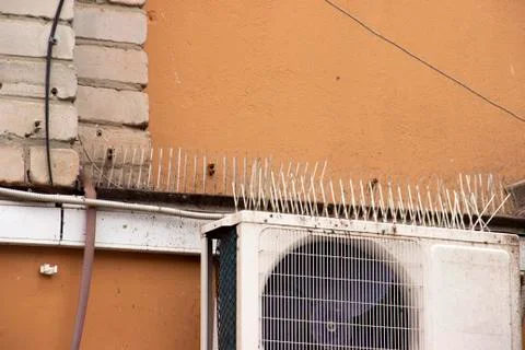 Part of the facade of the building with plastic spikes against pigeons. the Stock Photos