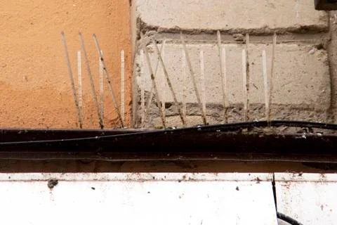Part of the facade of the building with plastic spikes against pigeons. close up Stock Photos