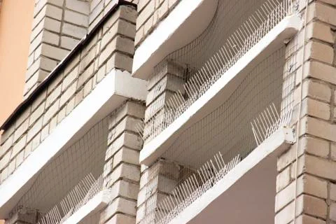 Part of the facade of the building with plastic spikes against pigeons. the Stock Photos