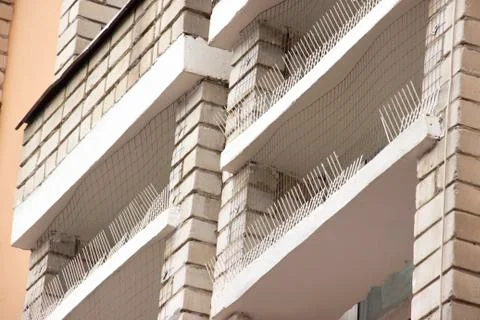Part of the facade of the building with plastic spikes against pigeons. the Stock Photos