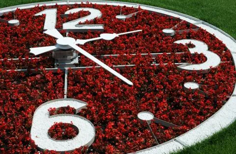 Part of flower clock Stock Photos