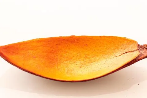 Part of the fruit shell is red-orange in color close-up on a warm white Stock-Fotos