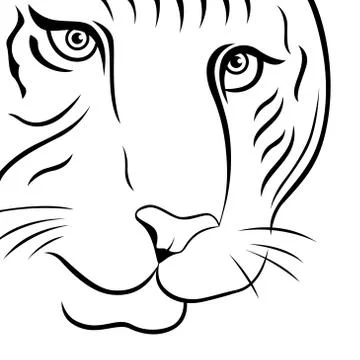Part of funny tiger face Illustrazione stock