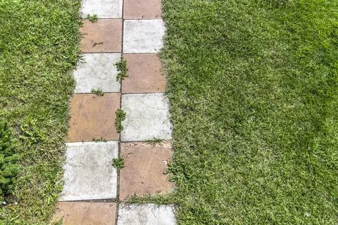 Part of the garden path Stock Photos