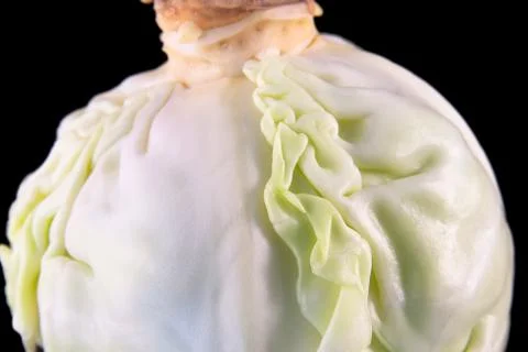 Part of green cabbage ball Stock Photos