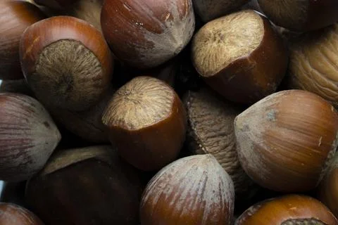 Part of Hazelnuts on a Pile Stock Photos