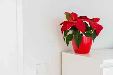 Part of the home interior Stock Photos