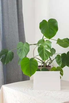 Part of the home interior Stock Photos