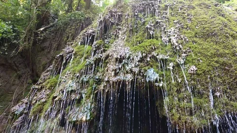 Part of Krushuna waterfalls. Stock Footage 114059277