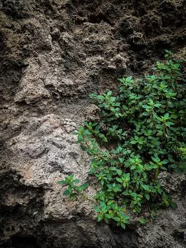 Part of a large stone for background or texture Foto stock
