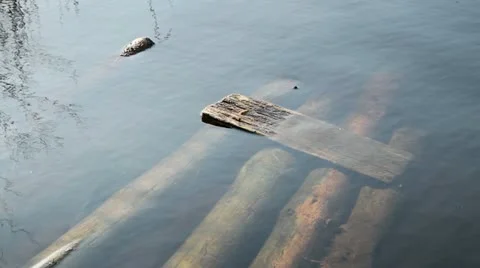 Part of a log bridge in the water Video stock 11017545