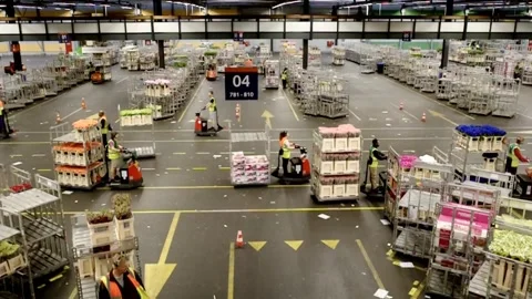 Part of the logistics of FloraHolland Видео 344550025