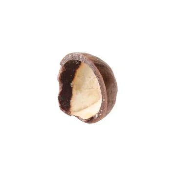 Part of macadamia nut shell isolated on white Foto stock