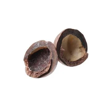 Part of macadamia nut shell isolated on white Foto stock