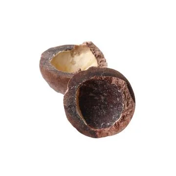 Part of macadamia nut shell isolated on white Foto stock