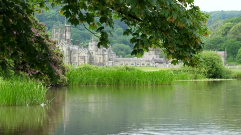 Part of Margam mansion through tree branches in the park in South Wales. Stock Footage 311518077