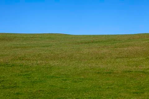 The part of the meadow Stock Photos