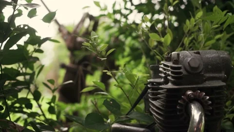Part of a motorcycle engine on a bush leaf Stock Footage 210103776
