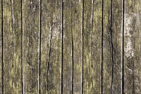 Part of the Old Gray Board Stock Photos