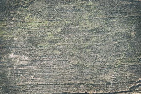 Part of the Old Gray Concrete Board Stock Photos