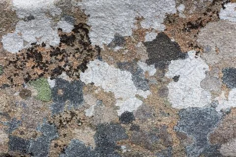 Part of a old stone wall, for background or texture. Stock Photos