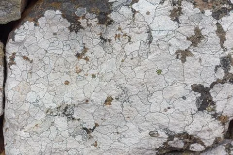 Part of a old stone wall, for background or texture. Stock Photos