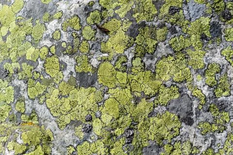 Part of a old stone wall, for background or texture. Stock Photos