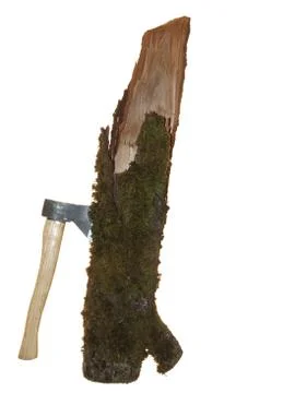 Part of old tree trunk covered with moss with stuck ax isolated on white back Stock Photos