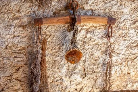 Part of the ox carriage Stock Photos