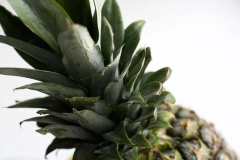 Part of pineapple close up Stock-Fotos