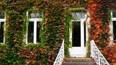 Part of provencal house of small typical town in Provence, France. Stock Photos