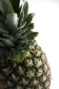 Part of ripe pineapple fruit Stock Photos