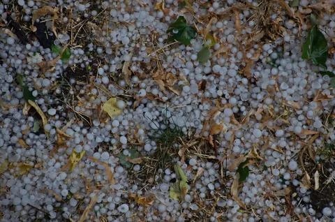 Part of a severe summer storm accompanied by walnut-sized hail 스톡 사진