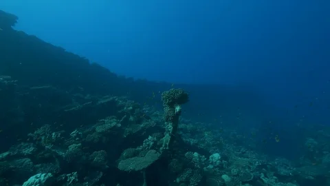 Part of the shipwreck Ulysses on which an acropora has grown, Red Sea, Egypt Stock Footage 105624629