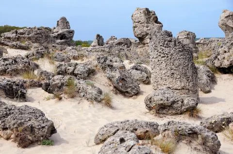 Part of Stone Forest Stock Photos