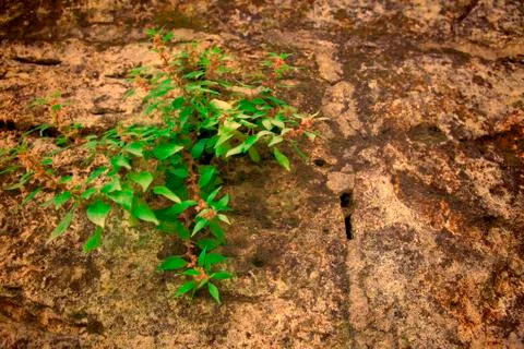 Part of a stone wall . Background or texture Foto stock