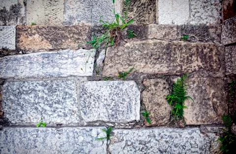 Part of a stone wall . Background or texture Stock Photos