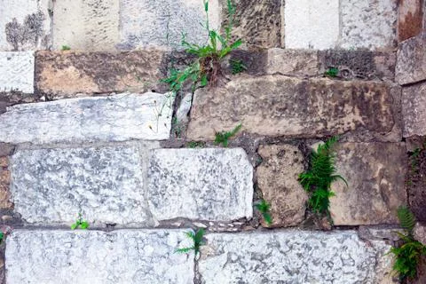 Part of a stone wall . Background or texture Stock Photos