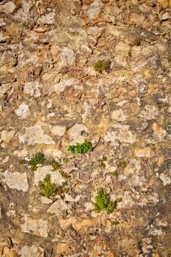 Part of a stone wall . Background or texture Stock Photos