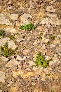 Part of a stone wall . Background or texture Stock Photos