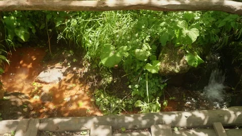 Part of stream with cleanest drinking water. Wild nature in Russia. Stock Footage 140094583